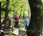 В рамках общегородского субботника прошла уборка территории кладбища при храме Успения Пресвятой Богородицы города Ставрополя
